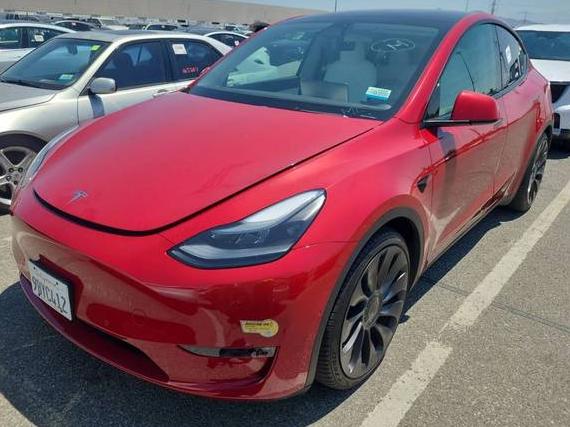 TESLA MODEL Y 2022 7SAYGDEF5NF488649 image
